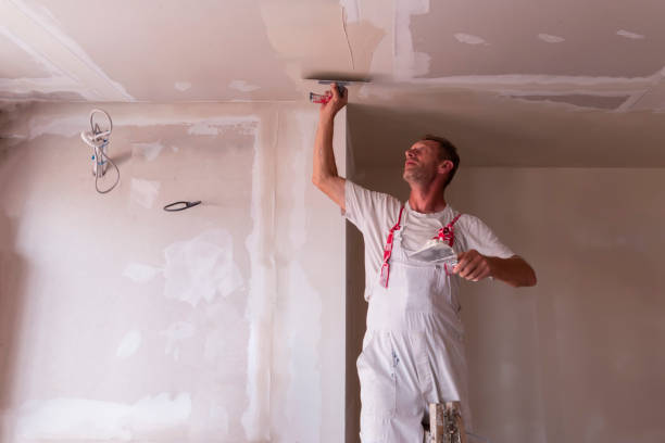 Best Water-Damaged Drywall Repair  in North Hornell, NY